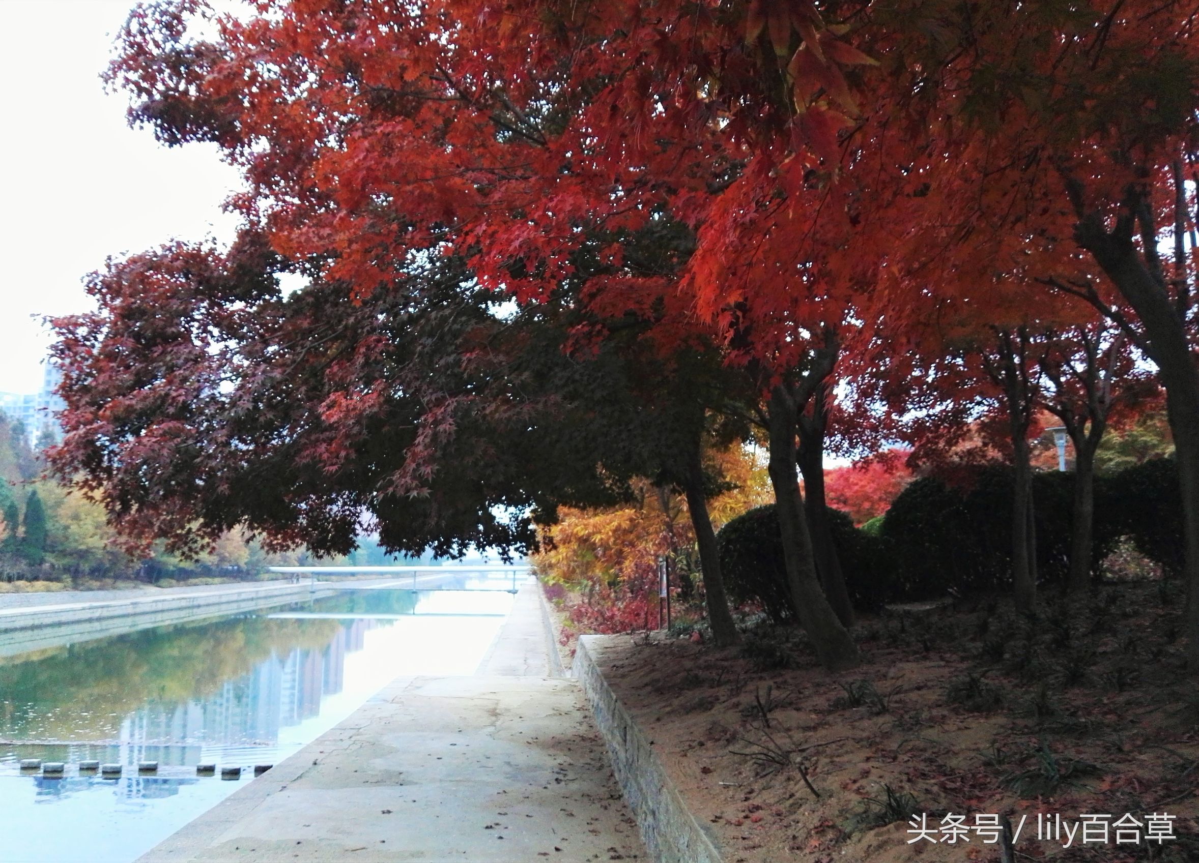 鬼马少年完整版,鬼马少年系列