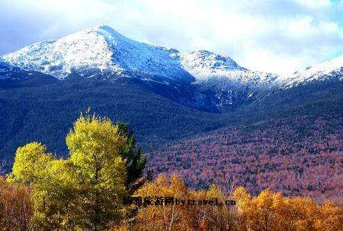 美国免税州有哪些城市,美国免税州邮编