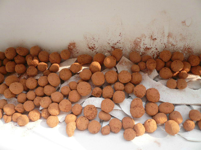 水管打孔种菜,pvc水管怎么打洞种菜