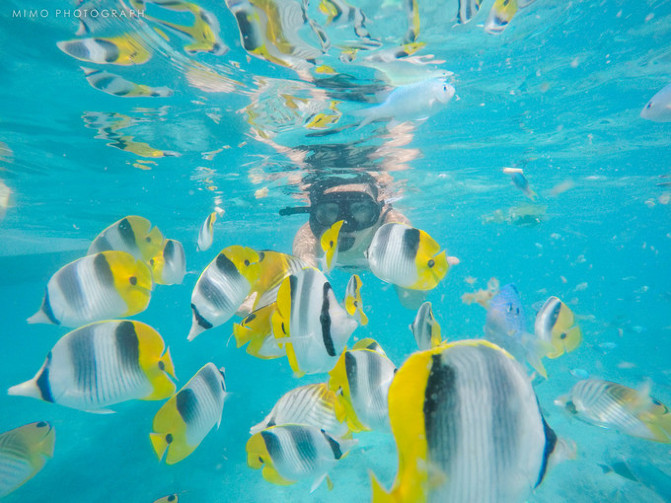 库克，上帝最秘密的存在