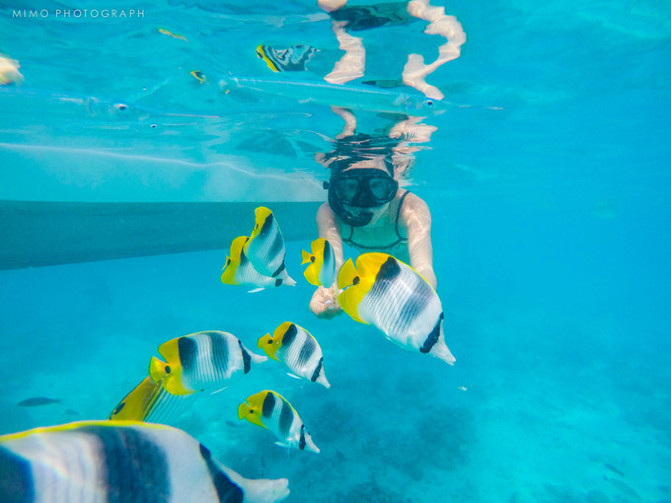 库克，上帝最秘密的存在