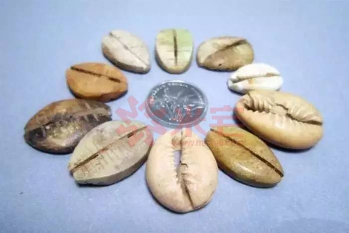 为什么穷人在银行更难借钱,为什么有钱人还要向银行借钱