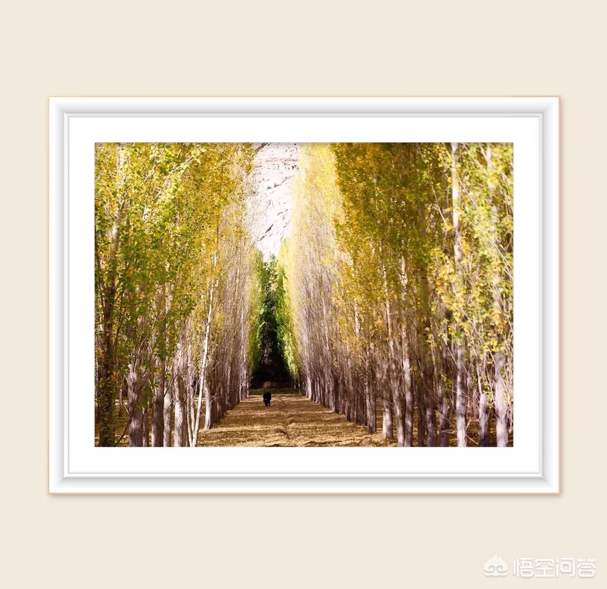 抑郁症不敢社交怎么办,抑郁症会有社交恐惧症吗