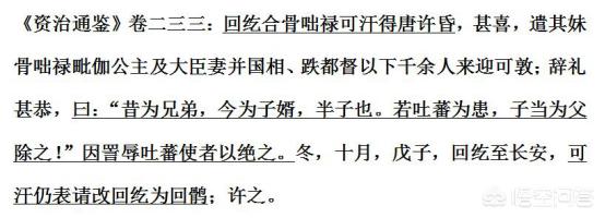 唐蕃历史,唐蕃战争胜负率