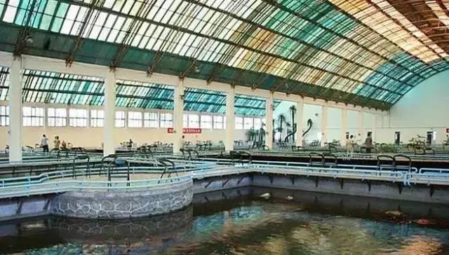 帝都温泉酒店客房价格,适合冬天去的温泉酒店推荐