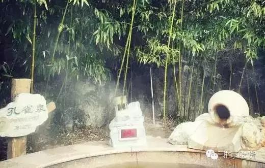 抓紧时间“约泡”才是大冬天最正经的事儿!