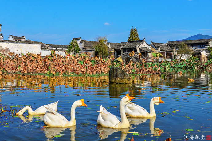 遇见最美的古村落,遇见最美的古村落来了就不想走