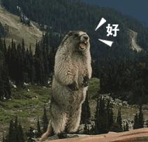 lol转区最后一步提示登陆掌盟,lol端游怎么在掌盟上转区