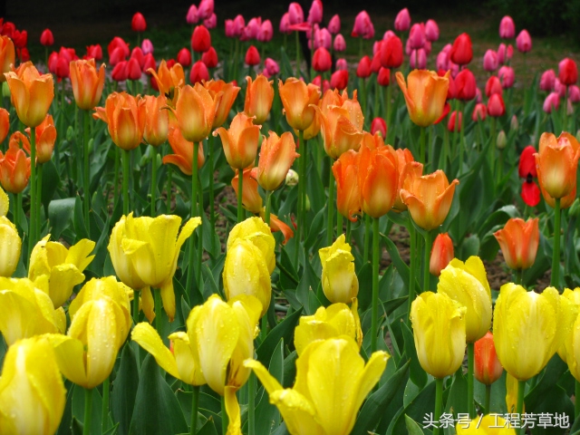 装修公司工程部经理属于什么岗位,工程副总与工程部经理区别