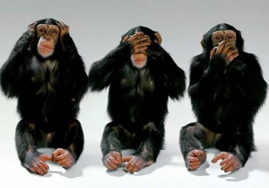 日本文化三不猴,三棱文玩核桃是怎么来的