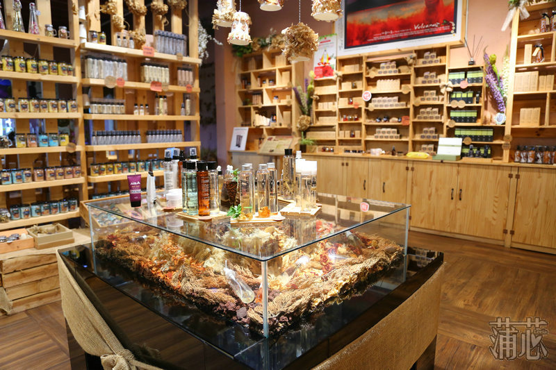 济州岛看枫叶,济州岛枫叶