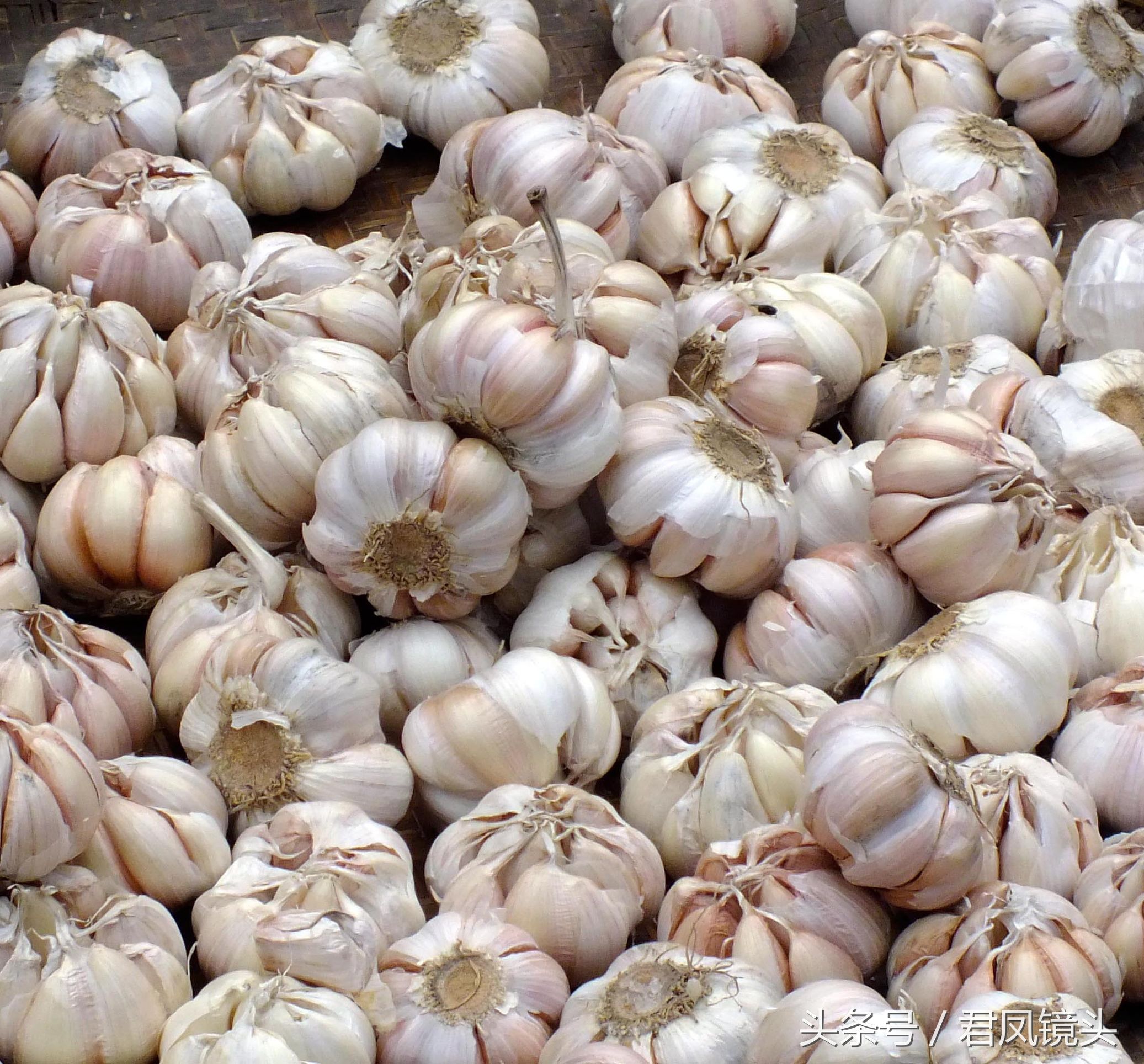 大蒜有驱虫功效吗,常吃大蒜有哪些好处