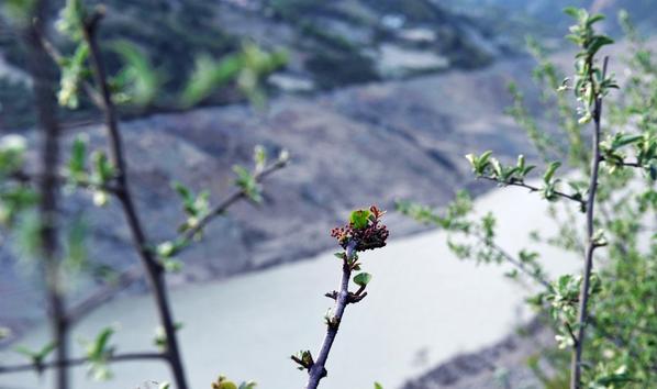 人品好就应该让家人过好,人品好才会好聚好散