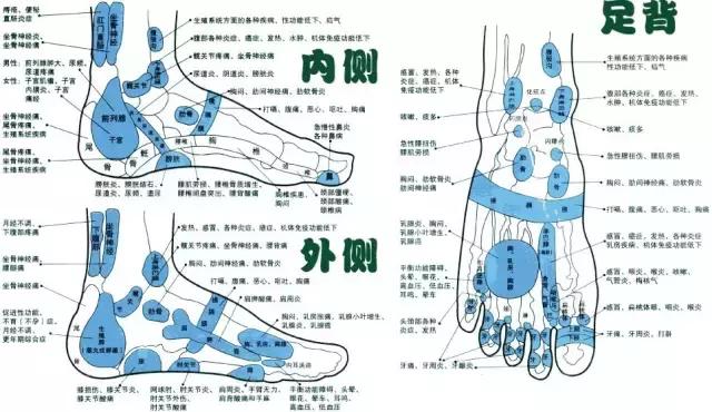 人体全息图集锦留着超级有用,人体部位全息图和反射图pdf