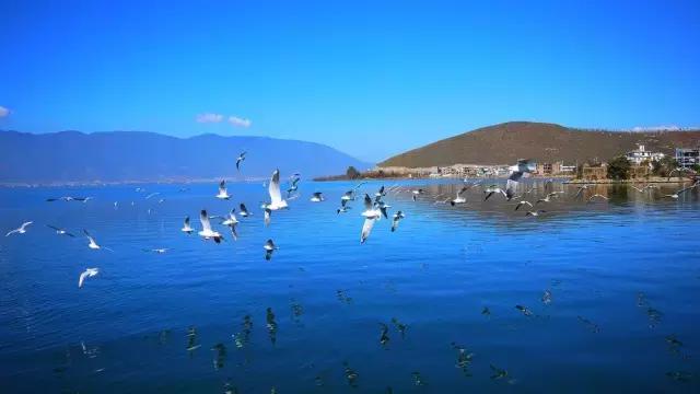 成都自驾曼谷,成都到曼谷机票