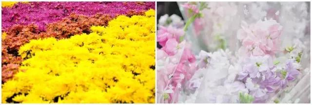 自驾游曼谷,成都到泰国自驾游攻略