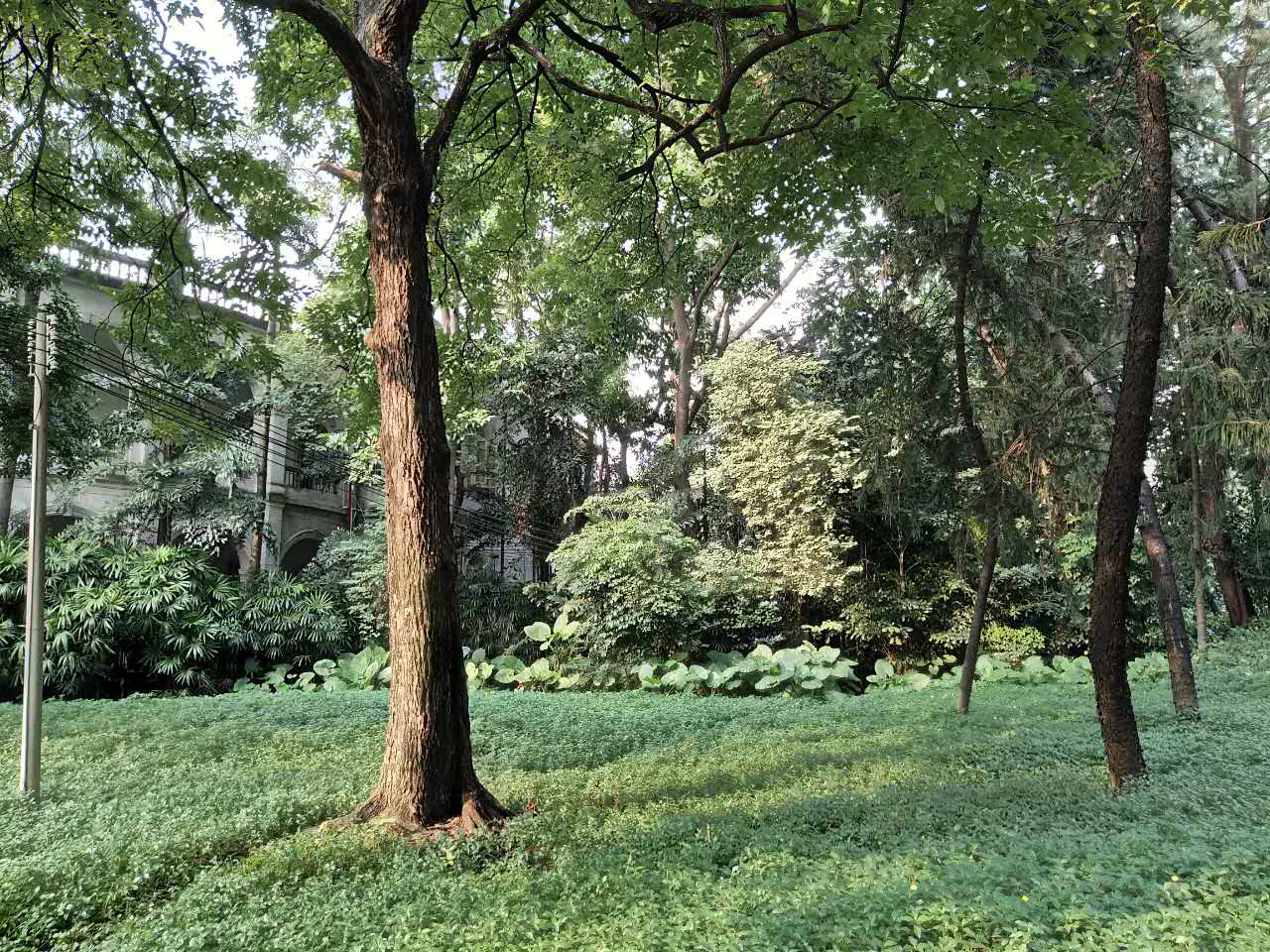 vivox9与x7plus的区别,vivox9和x7有什么区别