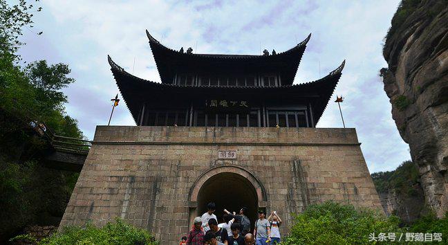 新疆野鹅自驾游视频,野鹅圣诞节自驾游