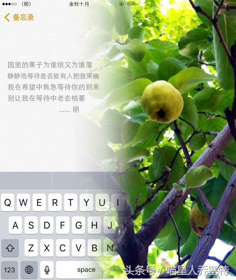 现在的零食添加剂,现在的零食添加剂多都不可以吃吗