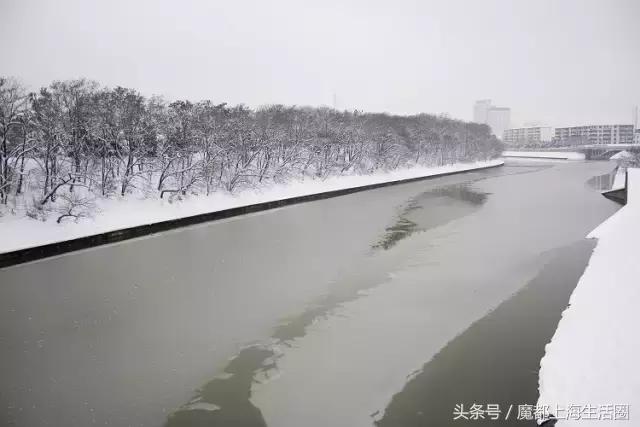 合肥哪下雪了,合肥一定要下雪吗