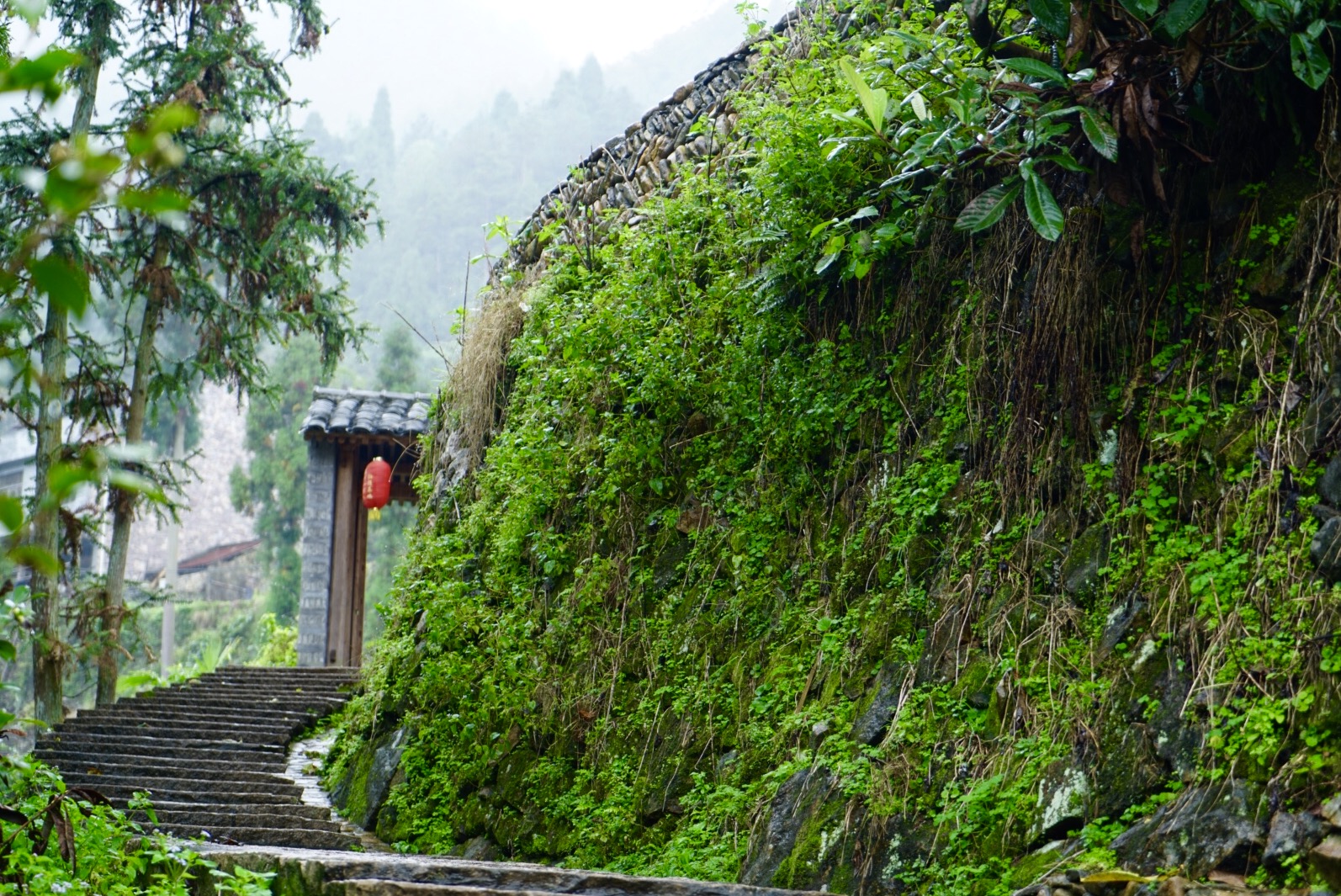 三八一日游温州最佳去处,温州三八游玩