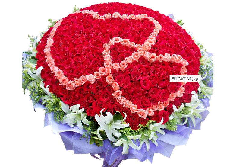 玫瑰花代表的爱情含义枝数,你知道不同花的花语是什么吗