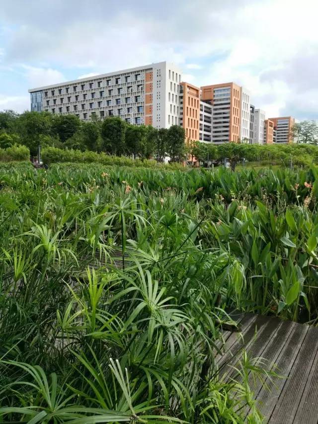 “粤建粤美”寻找城市“绿色动能”看到了哪里感受广州之美？