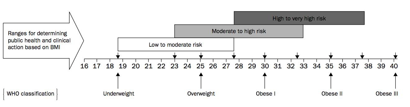 你真的了解bmi吗,为什么要重视bmi