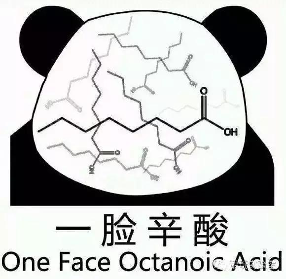 史上最开挂兄弟：灭法国拿奥运银牌，撕逼爱因斯坦拿诺奖