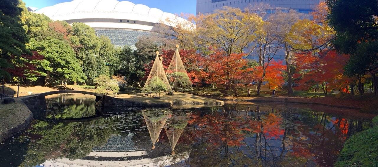 京都银杏图虫旅行,手绘研学旅游日记