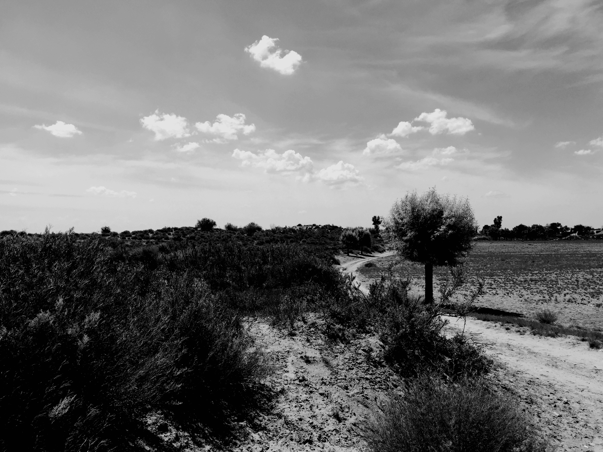 历史丨匈奴最后的遗址：废都统万城