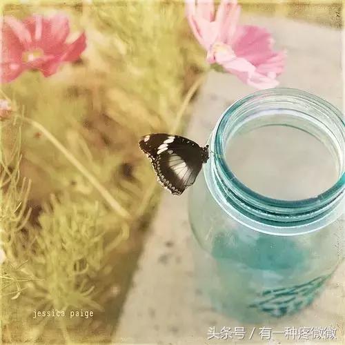 朋友圈拼的图太大,朋友圈拼的九宫格用的是什么软件