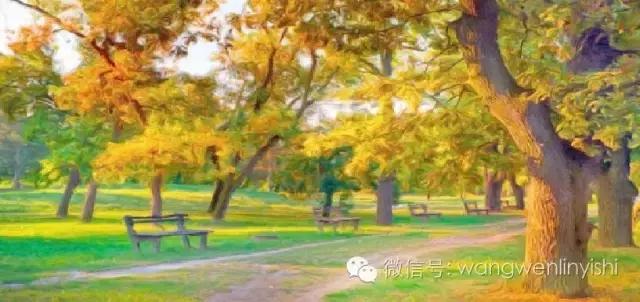 肥胖桶状胸怎么矫正,肥胖引起的桶形胸