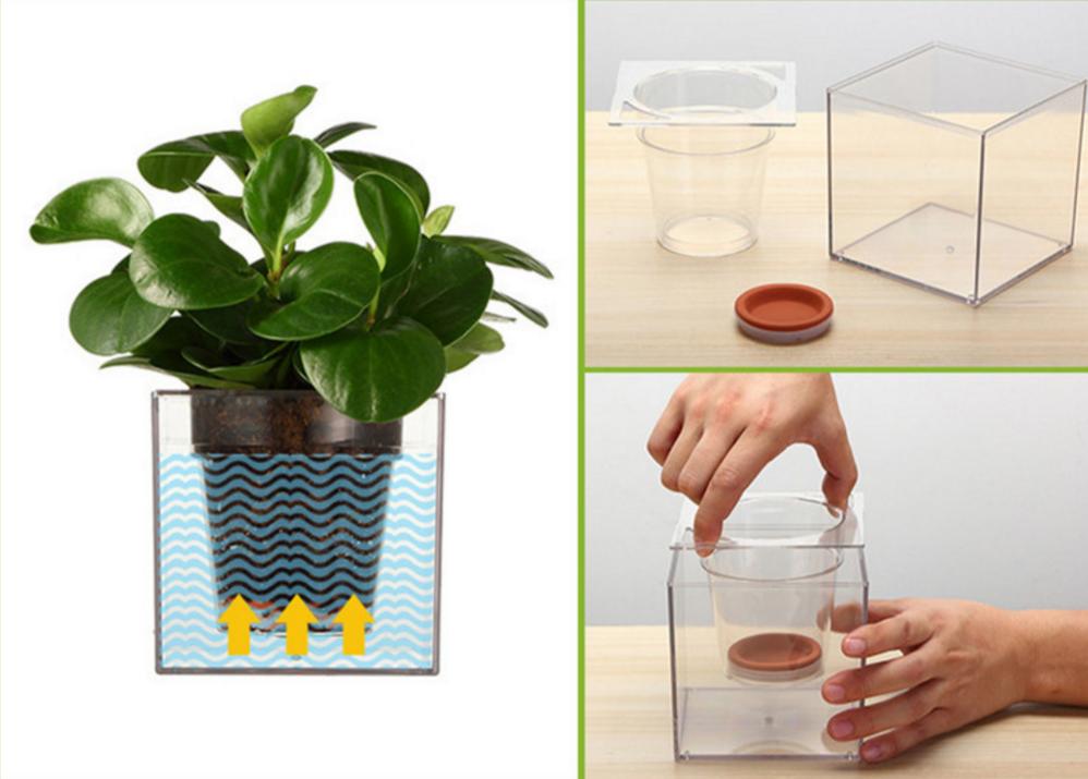 彻底告别植物杀手,告别植物杀手