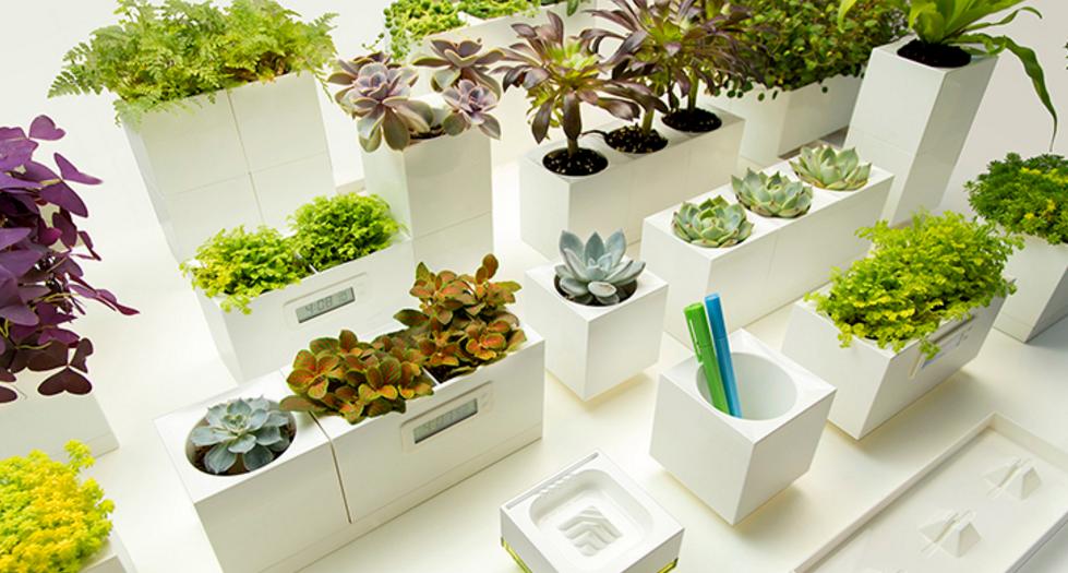 彻底告别植物杀手,告别植物杀手