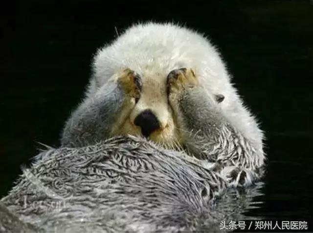 雾霾进了屋里怎么办,雾霾进屋子里了怎么办