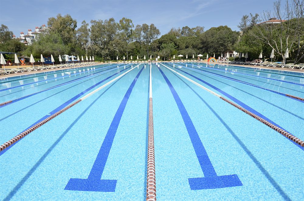 西安冬泳在灞河什么地方,西安冬泳攻略视频