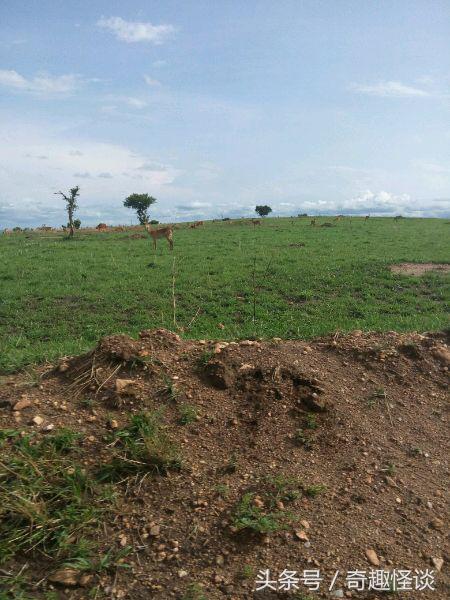 我在非洲工作的日子，给大家介绍下非洲的风土人情