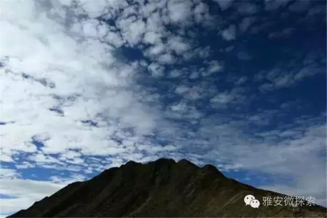 最美的季节,醉美的季节原唱视频