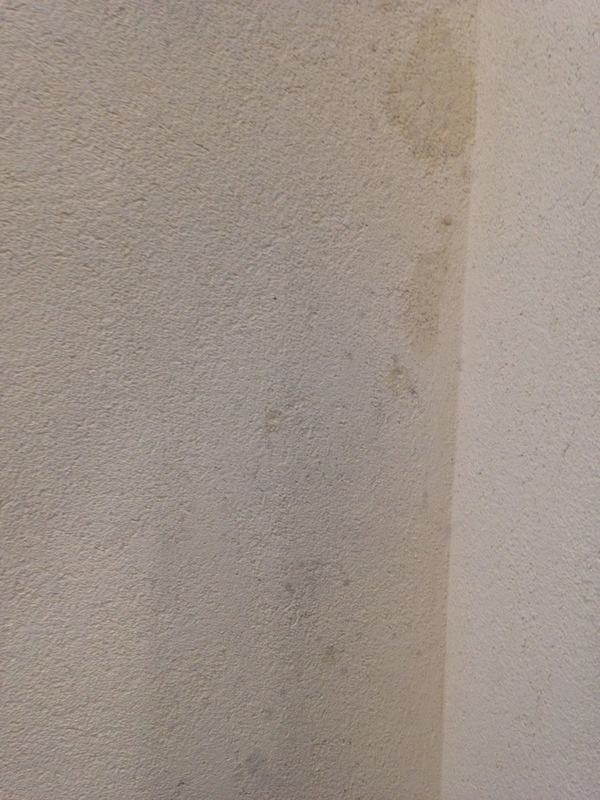 墙纸好还是硅藻泥好,硅藻泥好还是墙纸好