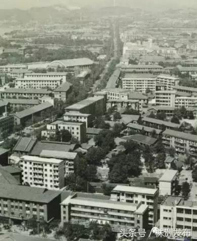 张劲夫33年前来株洲视察赞这家工厂“大有希望”！