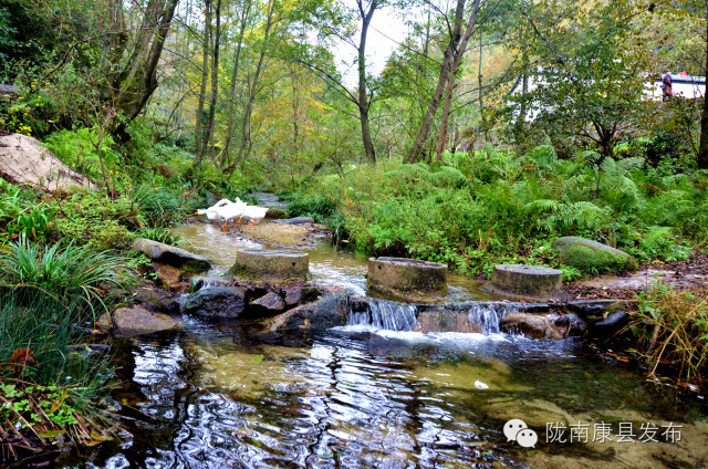 阳坝:遗落在时光深处的慢生活