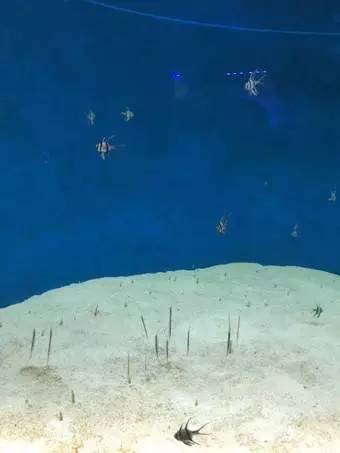 旅游景区收到游客投诉价格偏高,景区门票调价投诉