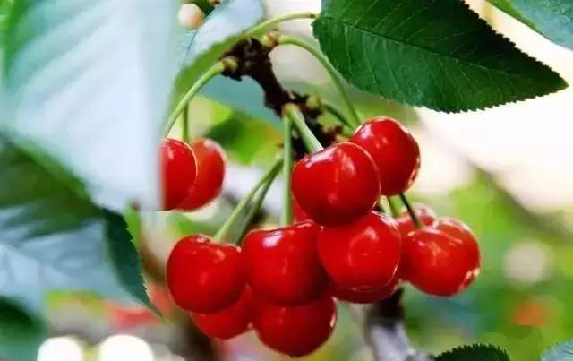 青岛城事,青岛地铁全城通一日票