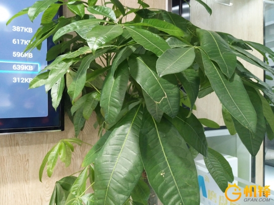 除了vivo还有哪款手机拍照好,vivox9柔光双摄