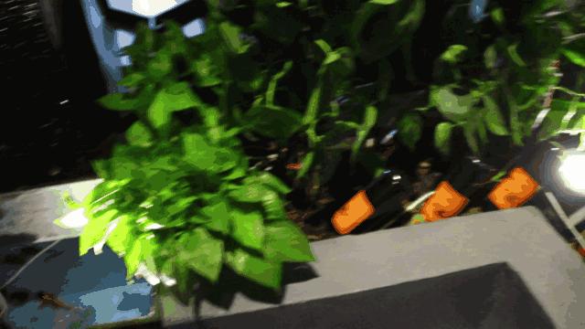 应季美食:lucysKitchen新菜品,还有超值套餐,你动心了吗