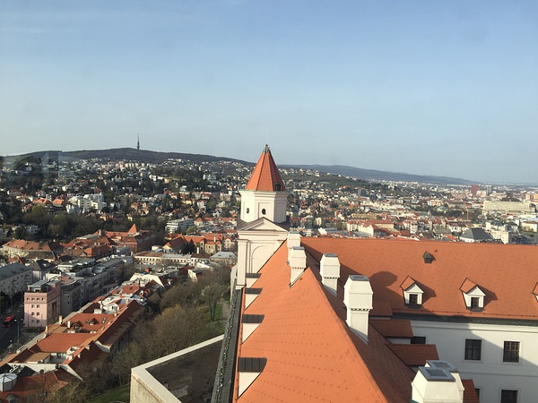 豆瓣日记momo,豆瓣日记茉莉