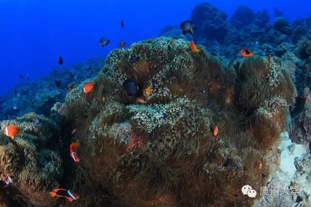 体育微型课游泳,二年级体育公开课攀岩