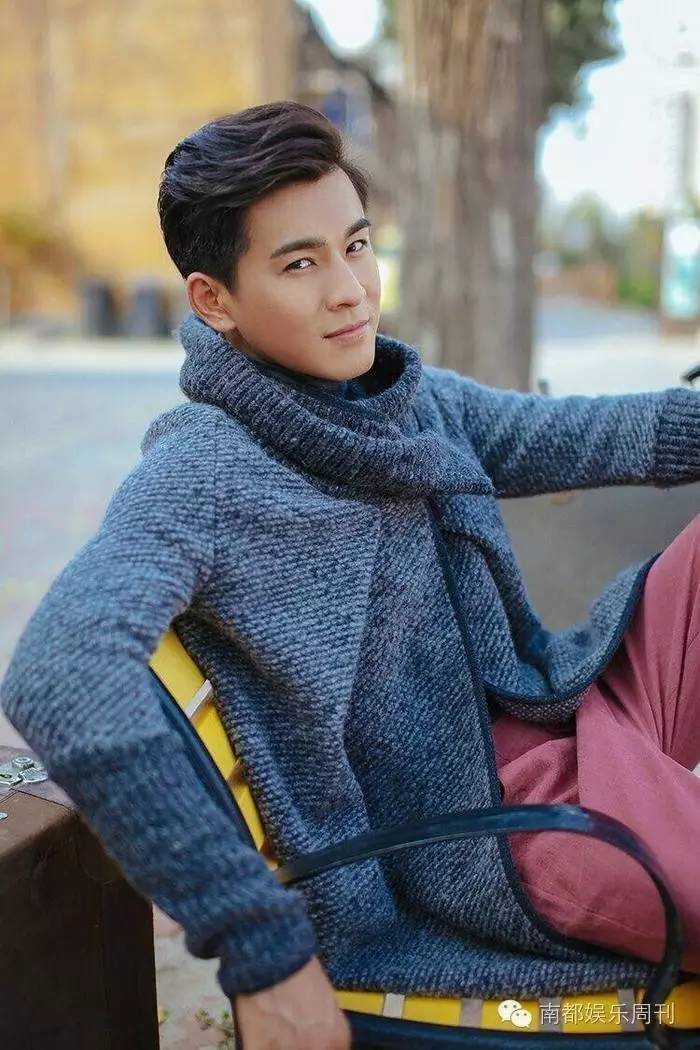 徐海乔乔振宇,乔振宇徐海乔电视剧