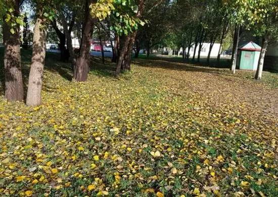 如果觉得国庆7天短,接下来你会知道7天有多长